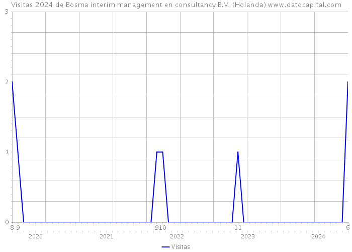 Visitas 2024 de Bosma interim management en consultancy B.V. (Holanda) 