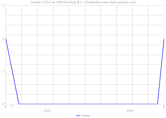 Visitas 2024 de AMJ Holding B.V. (Holanda) 