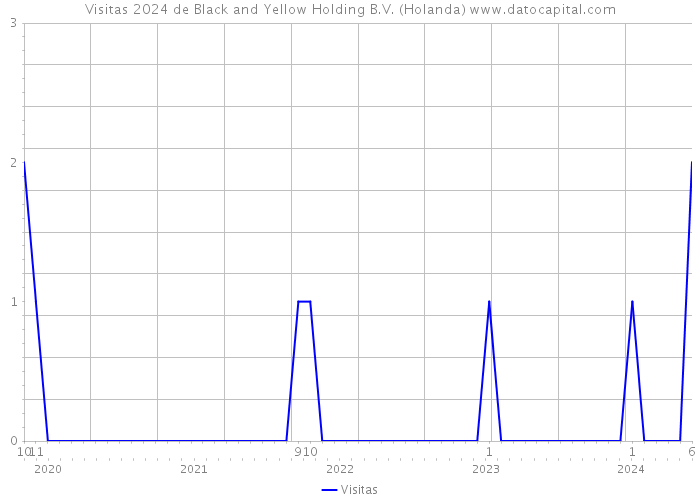 Visitas 2024 de Black and Yellow Holding B.V. (Holanda) 