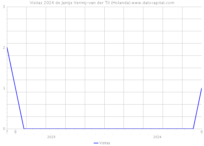 Visitas 2024 de Jantje Vermij-van der Til (Holanda) 