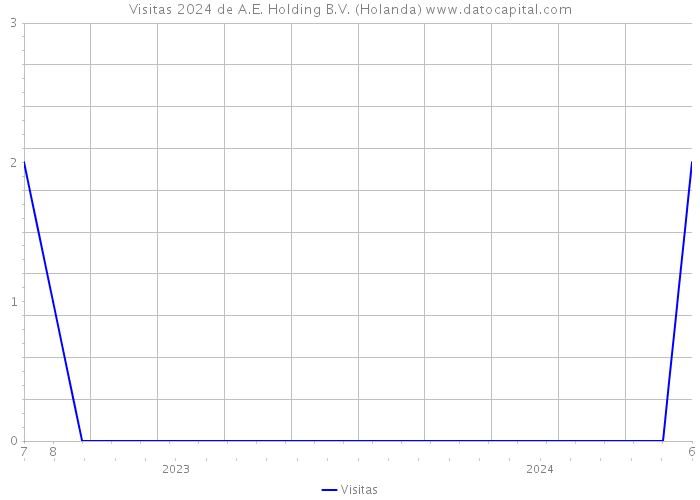 Visitas 2024 de A.E. Holding B.V. (Holanda) 