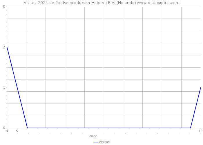 Visitas 2024 de Poolse producten Holding B.V. (Holanda) 