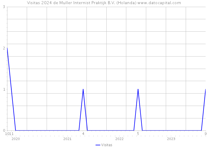 Visitas 2024 de Muller Internist Praktijk B.V. (Holanda) 