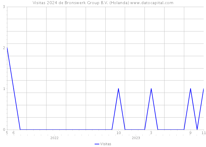 Visitas 2024 de Bronswerk Group B.V. (Holanda) 