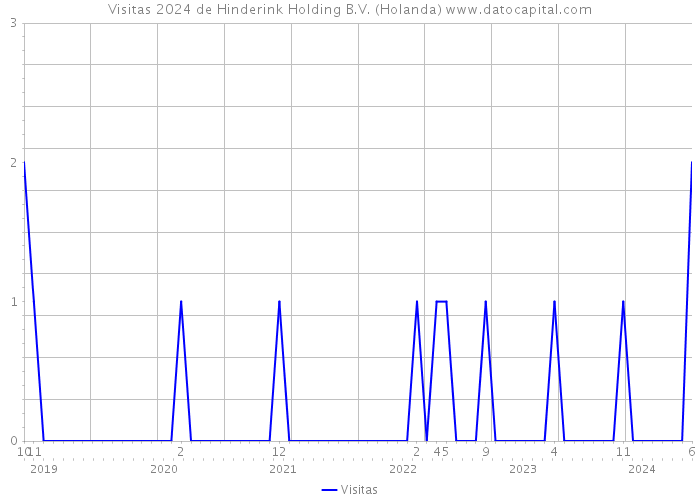 Visitas 2024 de Hinderink Holding B.V. (Holanda) 