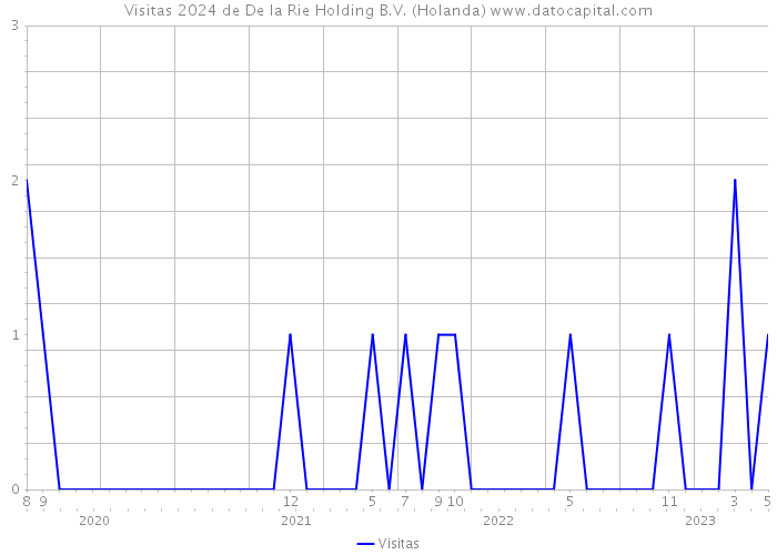 Visitas 2024 de De la Rie Holding B.V. (Holanda) 