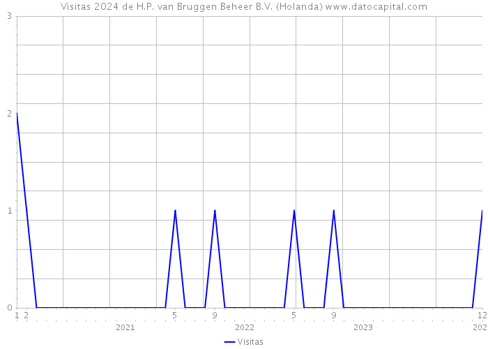 Visitas 2024 de H.P. van Bruggen Beheer B.V. (Holanda) 