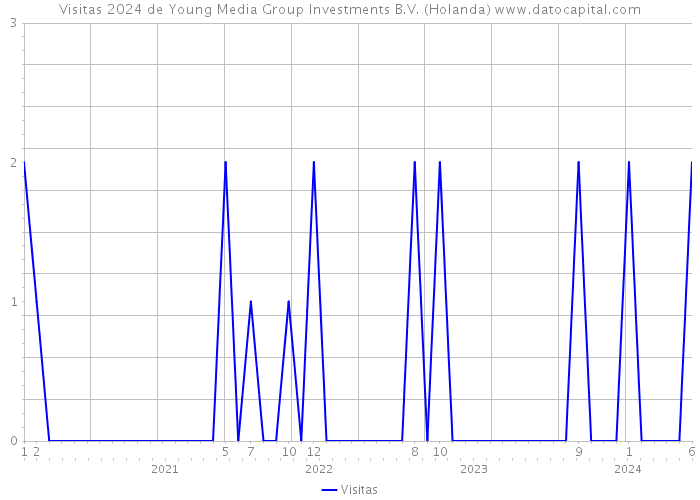Visitas 2024 de Young Media Group Investments B.V. (Holanda) 