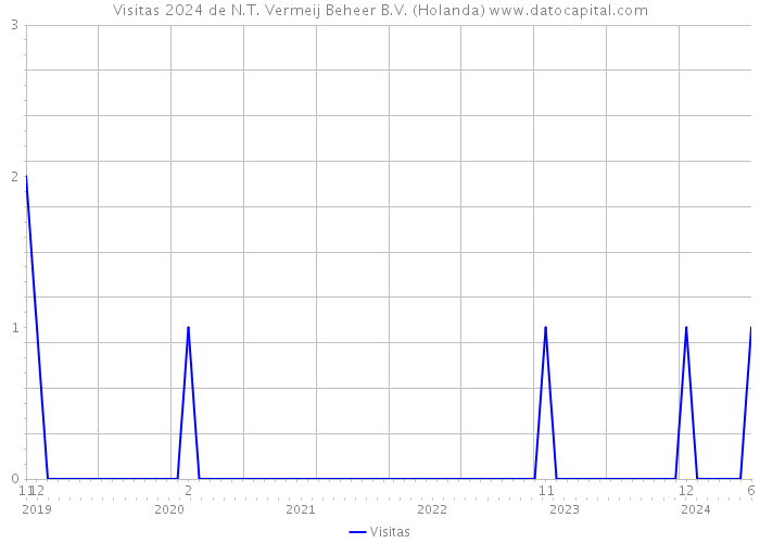 Visitas 2024 de N.T. Vermeij Beheer B.V. (Holanda) 