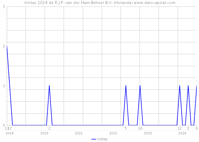 Visitas 2024 de R.J.P. van der Ham Beheer B.V. (Holanda) 