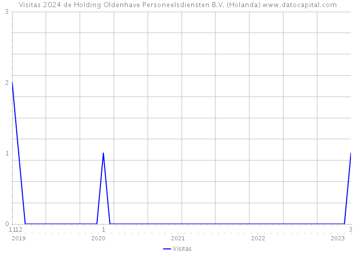 Visitas 2024 de Holding Oldenhave Personeelsdiensten B.V. (Holanda) 