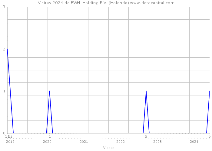 Visitas 2024 de FWH-Holding B.V. (Holanda) 