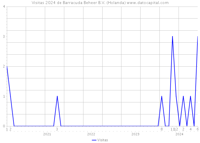 Visitas 2024 de Barracuda Beheer B.V. (Holanda) 