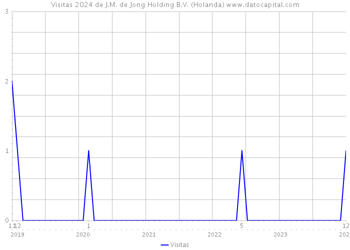 Visitas 2024 de J.M. de Jong Holding B.V. (Holanda) 