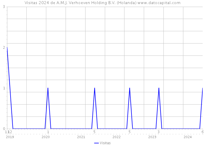 Visitas 2024 de A.M.J. Verhoeven Holding B.V. (Holanda) 