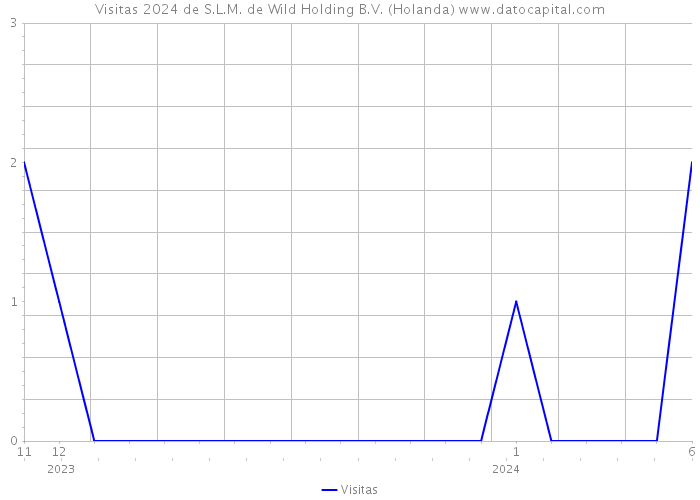 Visitas 2024 de S.L.M. de Wild Holding B.V. (Holanda) 