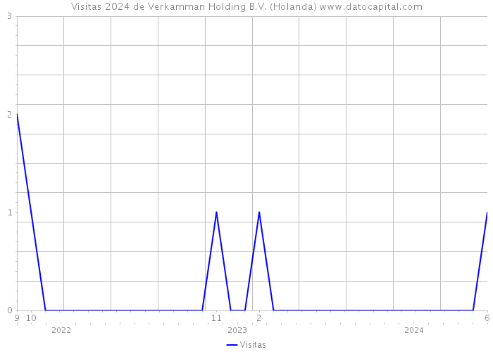 Visitas 2024 de Verkamman Holding B.V. (Holanda) 