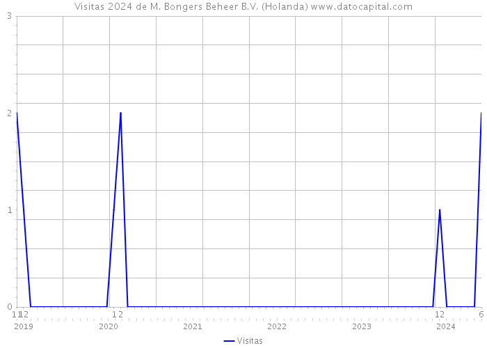Visitas 2024 de M. Bongers Beheer B.V. (Holanda) 