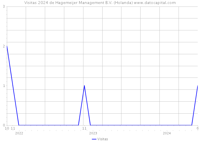 Visitas 2024 de Hagemeijer Management B.V. (Holanda) 