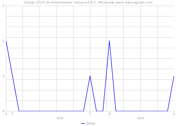 Visitas 2024 de Amstelsteen Vastgoed B.V. (Holanda) 