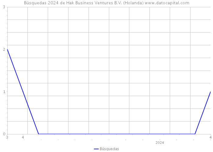 Búsquedas 2024 de Hak Business Ventures B.V. (Holanda) 