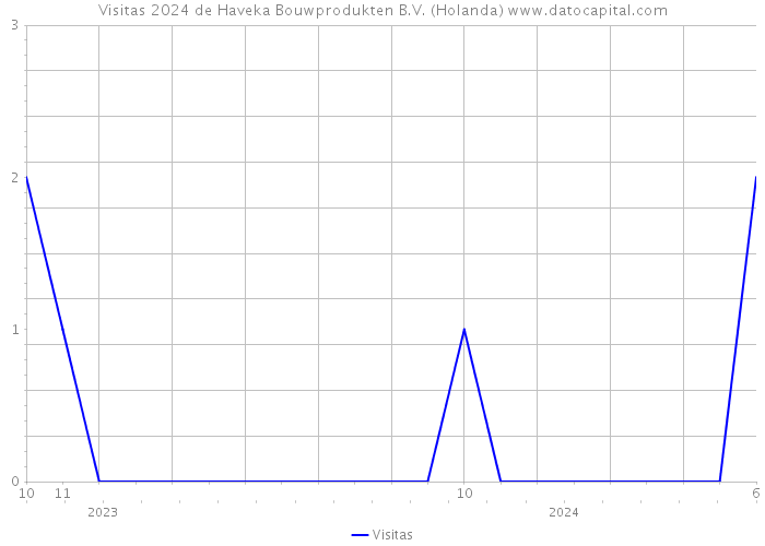 Visitas 2024 de Haveka Bouwprodukten B.V. (Holanda) 