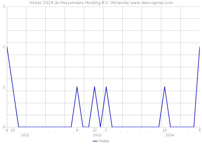 Visitas 2024 de Hesselmans Holding B.V. (Holanda) 