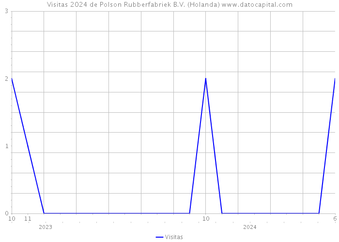 Visitas 2024 de Polson Rubberfabriek B.V. (Holanda) 