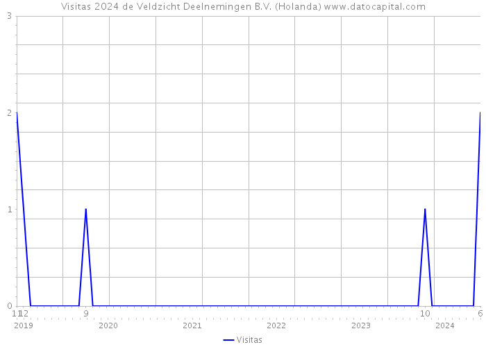 Visitas 2024 de Veldzicht Deelnemingen B.V. (Holanda) 