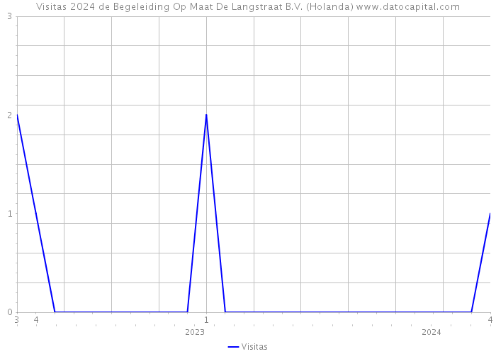 Visitas 2024 de Begeleiding Op Maat De Langstraat B.V. (Holanda) 