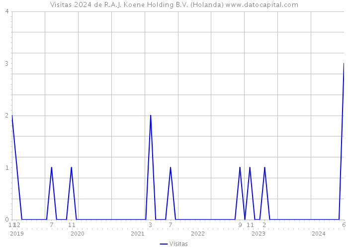 Visitas 2024 de R.A.J. Koene Holding B.V. (Holanda) 