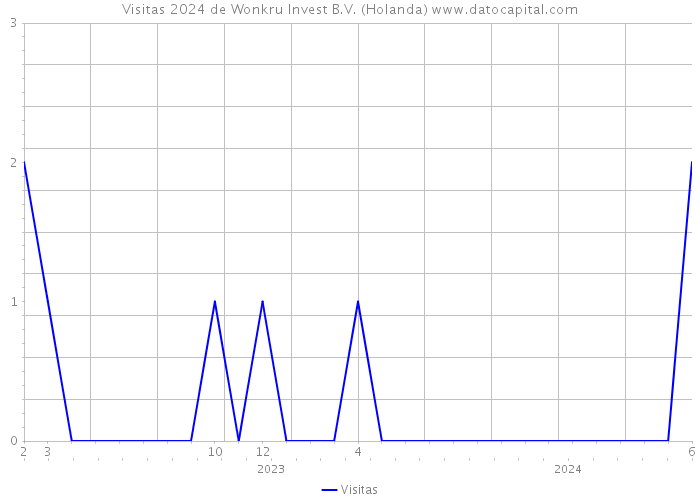 Visitas 2024 de Wonkru Invest B.V. (Holanda) 