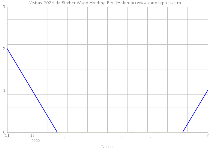 Visitas 2024 de Bitchet Wood Holding B.V. (Holanda) 