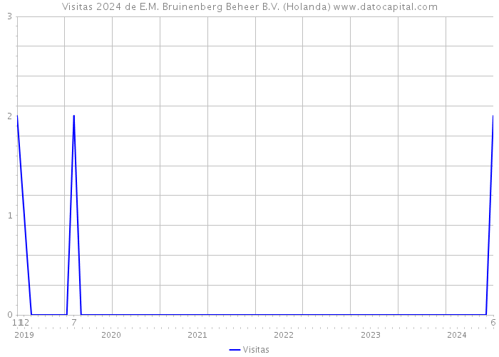 Visitas 2024 de E.M. Bruinenberg Beheer B.V. (Holanda) 