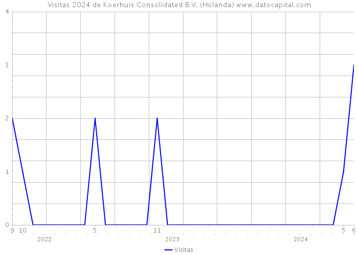 Visitas 2024 de Koerhuis Consolidated B.V. (Holanda) 