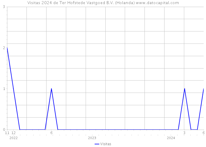 Visitas 2024 de Ter Hofstede Vastgoed B.V. (Holanda) 