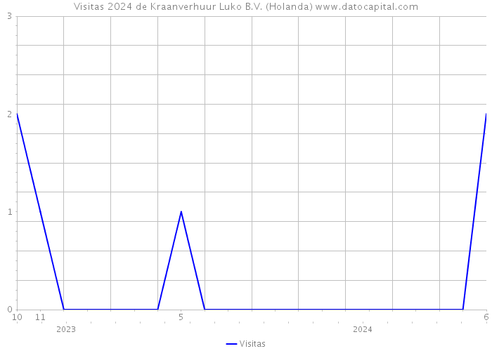 Visitas 2024 de Kraanverhuur Luko B.V. (Holanda) 