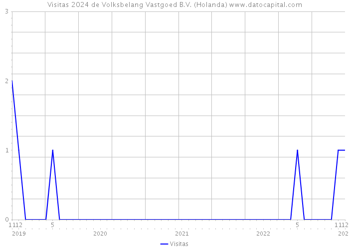 Visitas 2024 de Volksbelang Vastgoed B.V. (Holanda) 