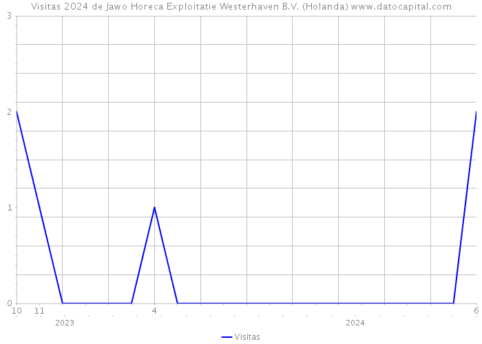 Visitas 2024 de Jawo Horeca Exploitatie Westerhaven B.V. (Holanda) 