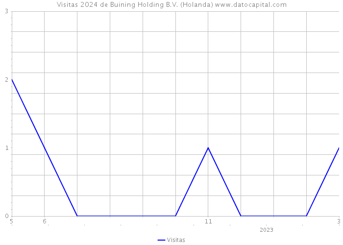 Visitas 2024 de Buining Holding B.V. (Holanda) 