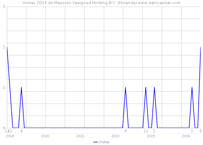Visitas 2024 de Maessen Vastgoed Holding B.V. (Holanda) 