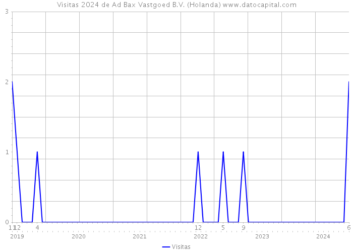 Visitas 2024 de Ad Bax Vastgoed B.V. (Holanda) 