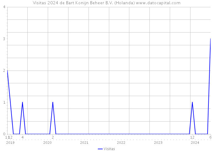 Visitas 2024 de Bart Konijn Beheer B.V. (Holanda) 