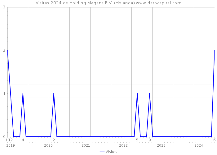 Visitas 2024 de Holding Megens B.V. (Holanda) 