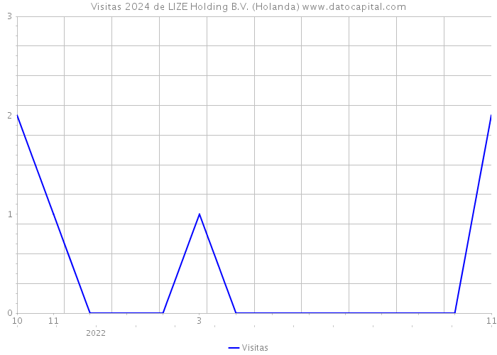 Visitas 2024 de LIZE Holding B.V. (Holanda) 