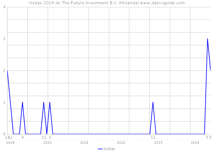 Visitas 2024 de The Future Investment B.V. (Holanda) 
