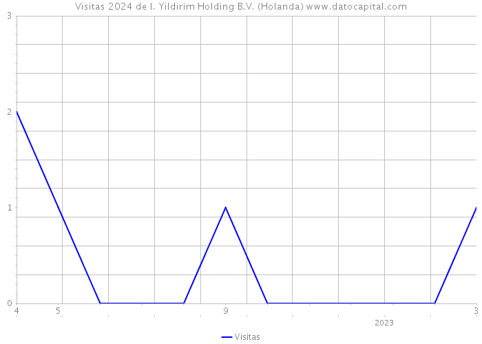 Visitas 2024 de I. Yildirim Holding B.V. (Holanda) 