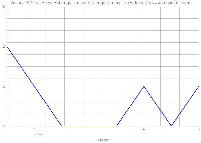 Visitas 2024 de Efeso Holdings Limited Verenigd Koninkrijk (Holanda) 