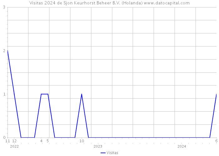 Visitas 2024 de Sjon Keurhorst Beheer B.V. (Holanda) 