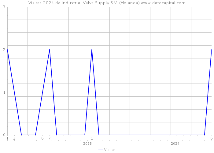 Visitas 2024 de Industrial Valve Supply B.V. (Holanda) 